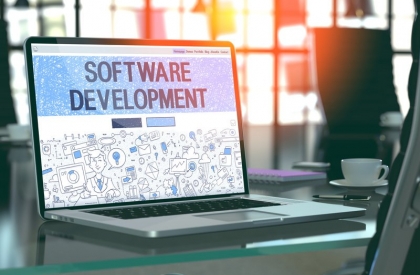 Software development services